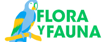 FLORA Y FAUNA